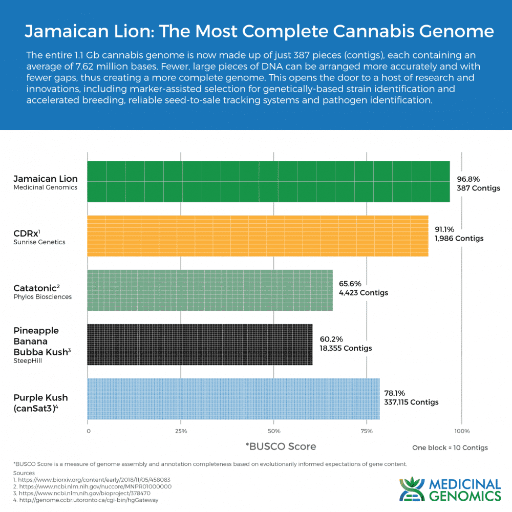 Jamaican Lion The Industrys First Comprehensive Cannabis Reference Genome Medicinal Genomics 4022