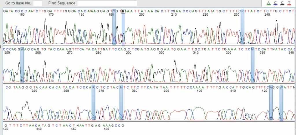 Cannabis Genome Original | Medicinal Genomics - Medicinal Genomics