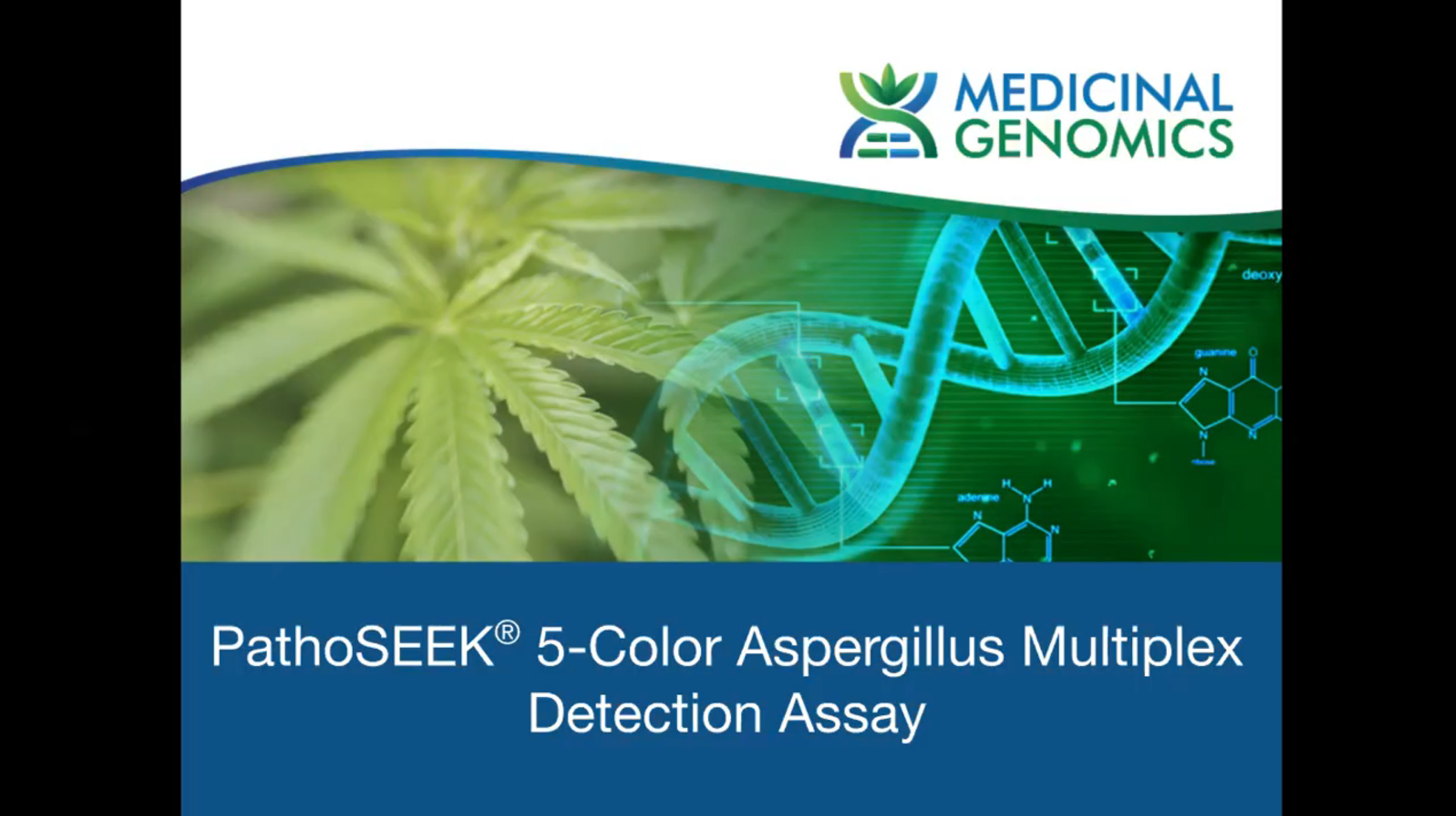 Streamline Aspergillus Testing And Save With The NEW PathoSEEK   Screenshot At May 27 00 01 04 