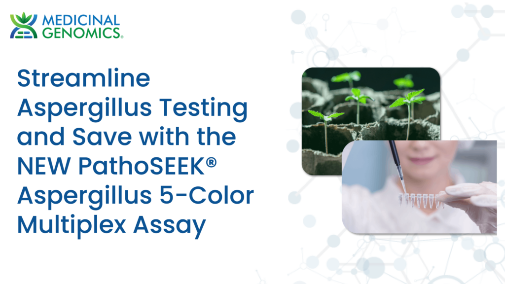 Streamline Aspergillus Testing And Save With The NEW PathoSEEK   Streamline Aspergillus Testing And Save With The NEW Pathoseek Aspergillus 5 Color Multiplex Assay Webinar Image 1024x576 