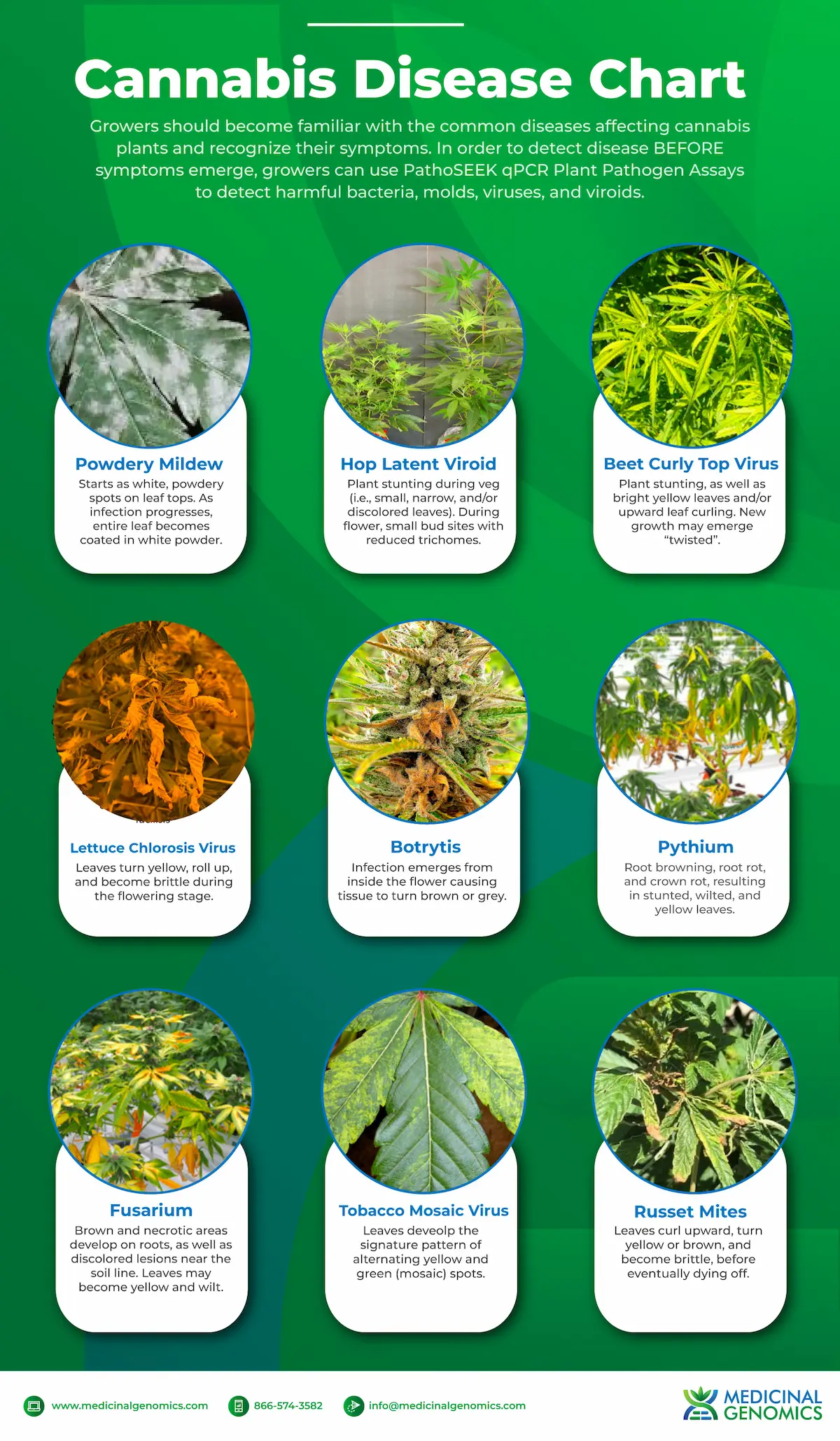 Cannabis Diseases Chart